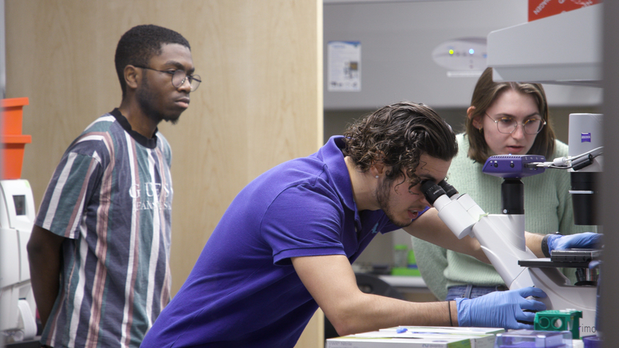 Two students look on as an instructor peers into a microscope