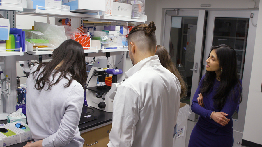 Three students and a professor gather around a microscope 