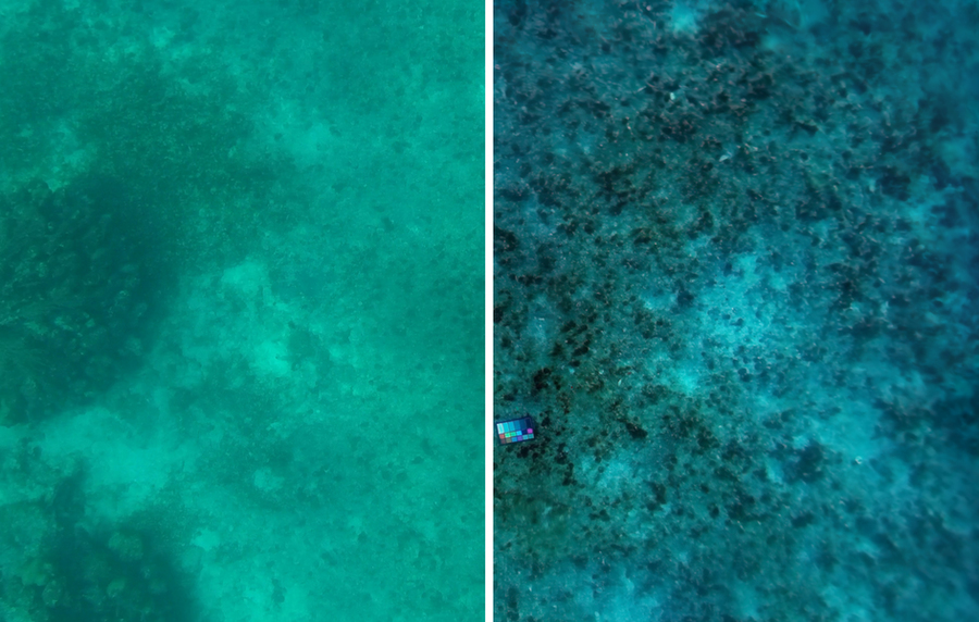 Two photos show underwater ground, with one on left more muted and murky.