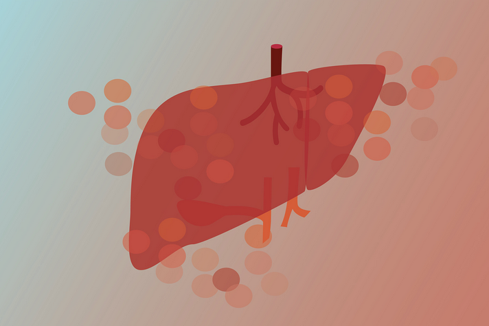 An illustration of the liver overlaying circles representing cells
