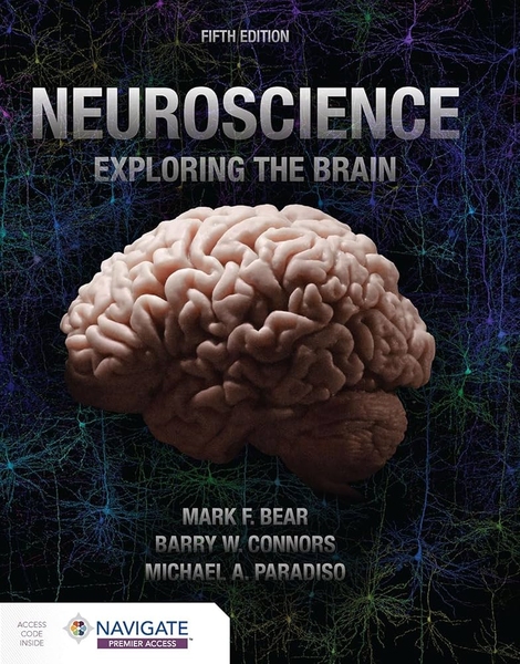 Cover of the textbook “Neuroscience: Exploring the Brain” features a brain in profile over a dark blue background covered in blue neurons.
