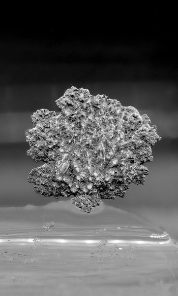 A grayscale image of what resembles a jagged, roughly spherical rock