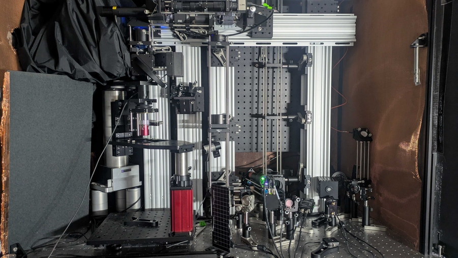 Imaging tech promises deepest looks yet into living brain tissue