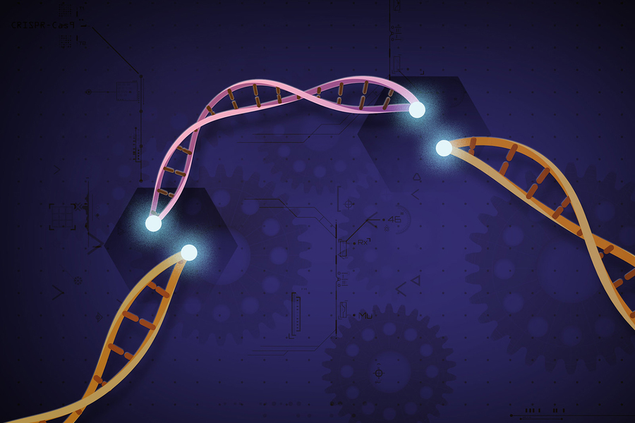 Illustration of DNA cut into three segments, with gears and a blueprint design in the background