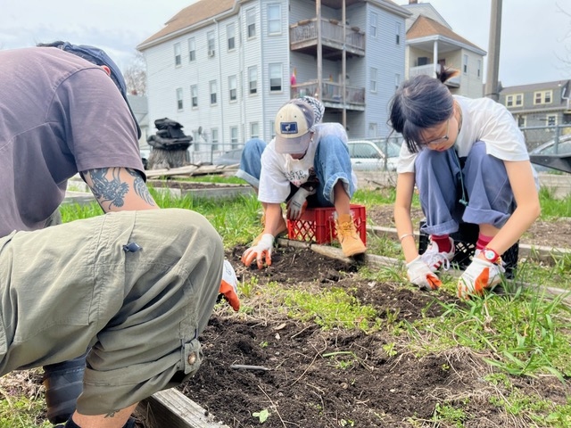 Calvin Zhong, Olivia Fiol, and Kaidi Liu, wearing work gloves, crouch over a raised bed, with a triple-decker apartment building in the background