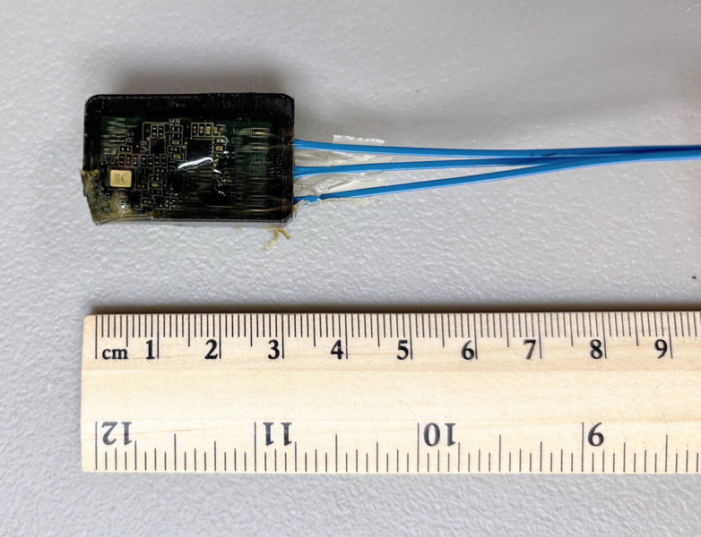 A photo of the hydrophone next to a ruler for scale. It is about 3 centimeters in length, appearing as a small black box with blue cables coming out of the bottom. 