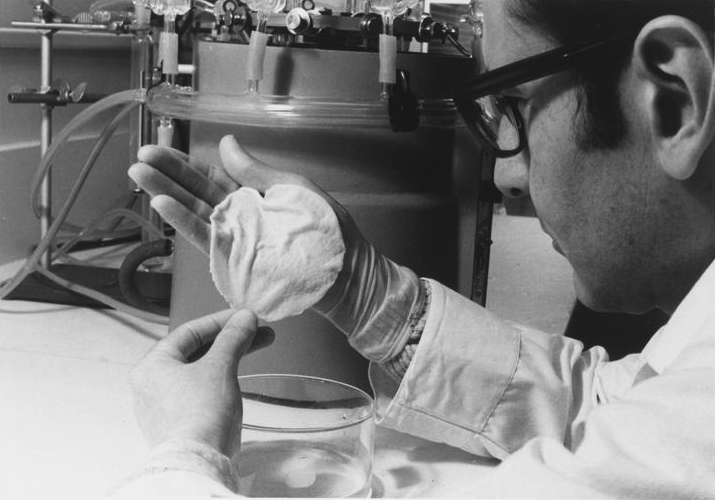 Greyscale photo of a young Ioannis Yannas, seen in profile in a lab holding a 3-inch-wide sample of artificial skin