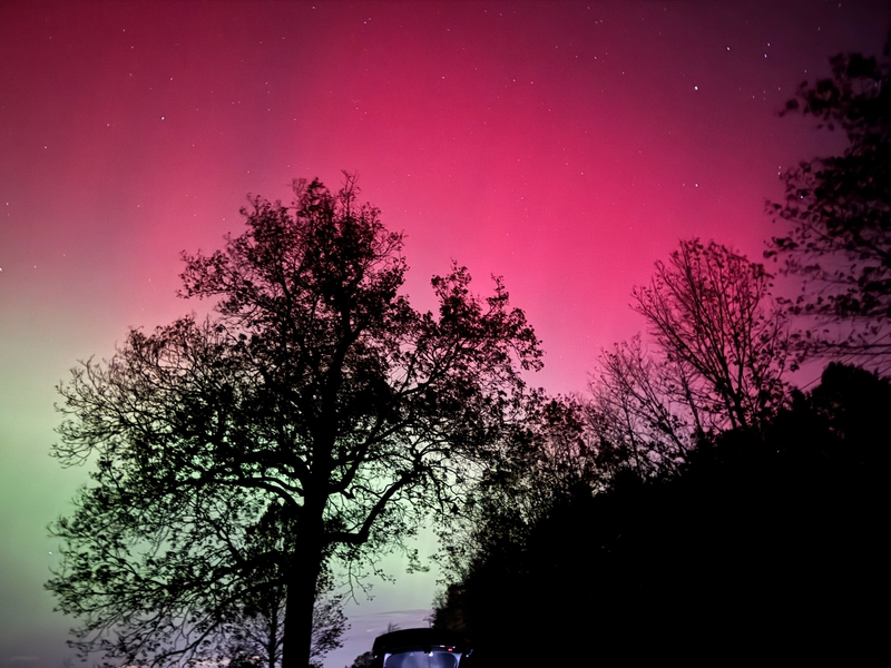 Pink and green aurora in the sky with stars visible through the light, with the silhouette of a tree and a hill in the foreground