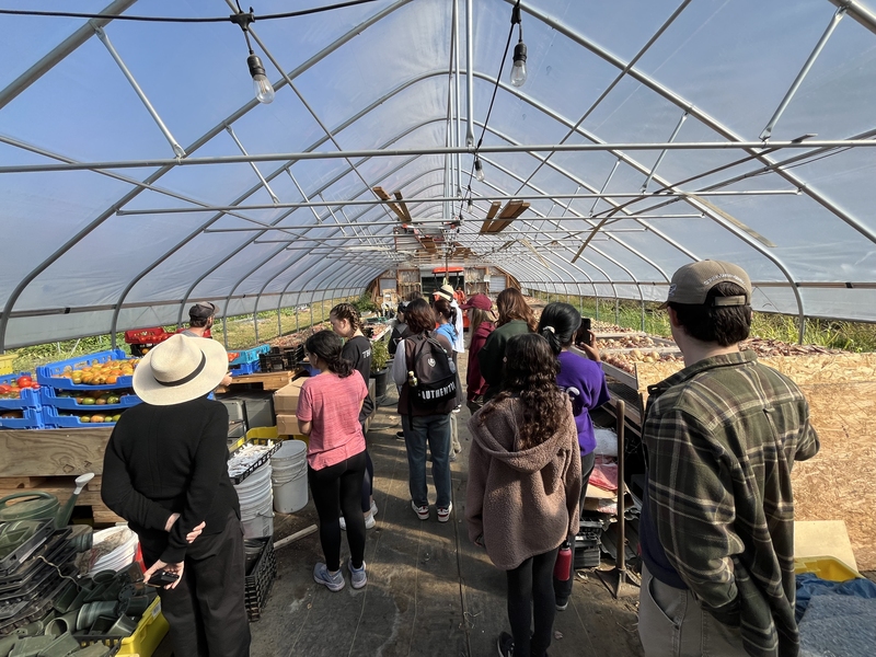 About 20 people in a long greenhouse.
