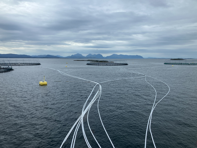 Salmon net pens at an offshore aquaculture site with fjords and mountains in the background.