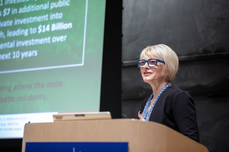 Emily Reichert stands at a lectern. Behind her is a blackboard, with a slide projected in front of that.