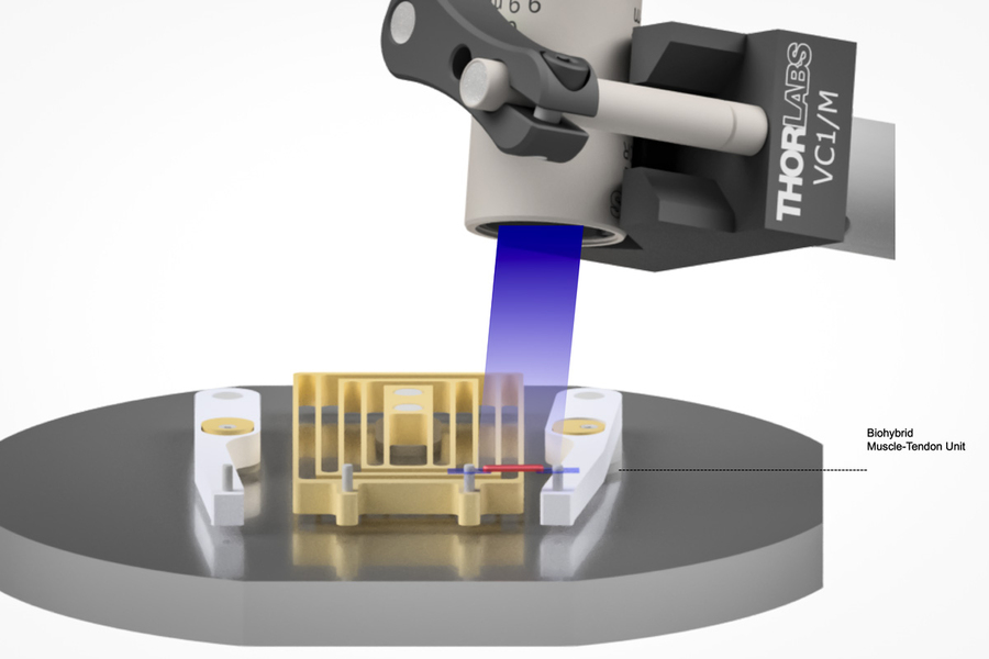 A blue laser shines on the device