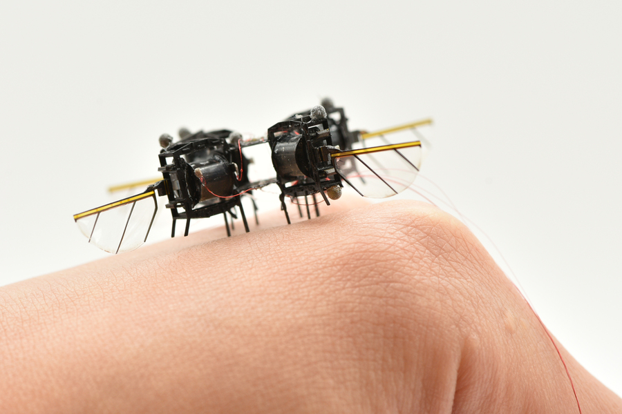 The microrobot sits on a hand, is about the size of a jellybean and has insect-like wings.
