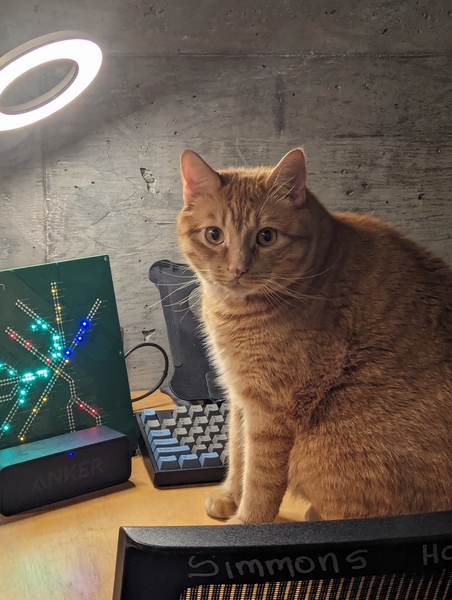 An orange cat sits on a student's desk between the keyboard and a light-up model of Boston's subway system. 