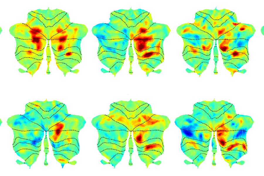 Six colorful MRI scans of the human brain with language-responsive regions highlighted in red.  