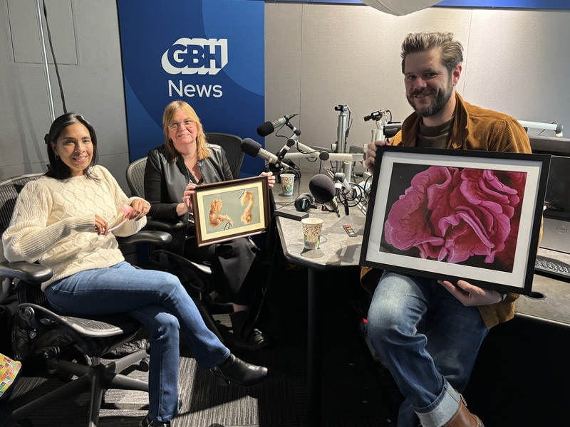 (L-R): Angela Belcher, Sangeeta Bhatia, and Edgar B. Herwick III 