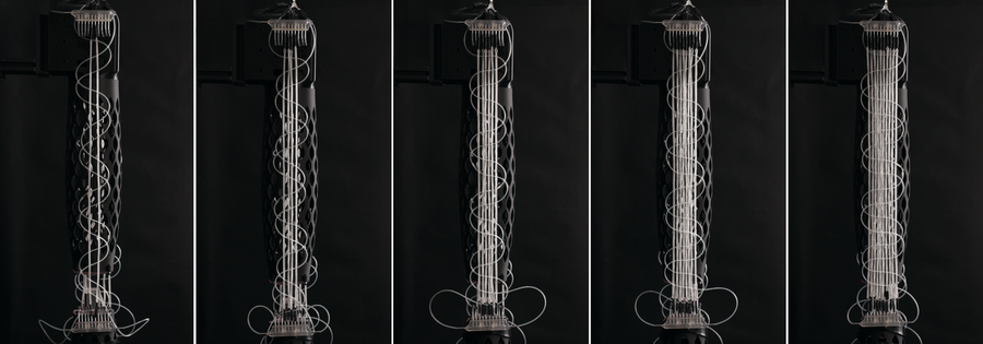 An image split into five sections featuring the evolution of a vertical, white fiber muscle mechanism, from two strands in the first panel to 10 strands in the last