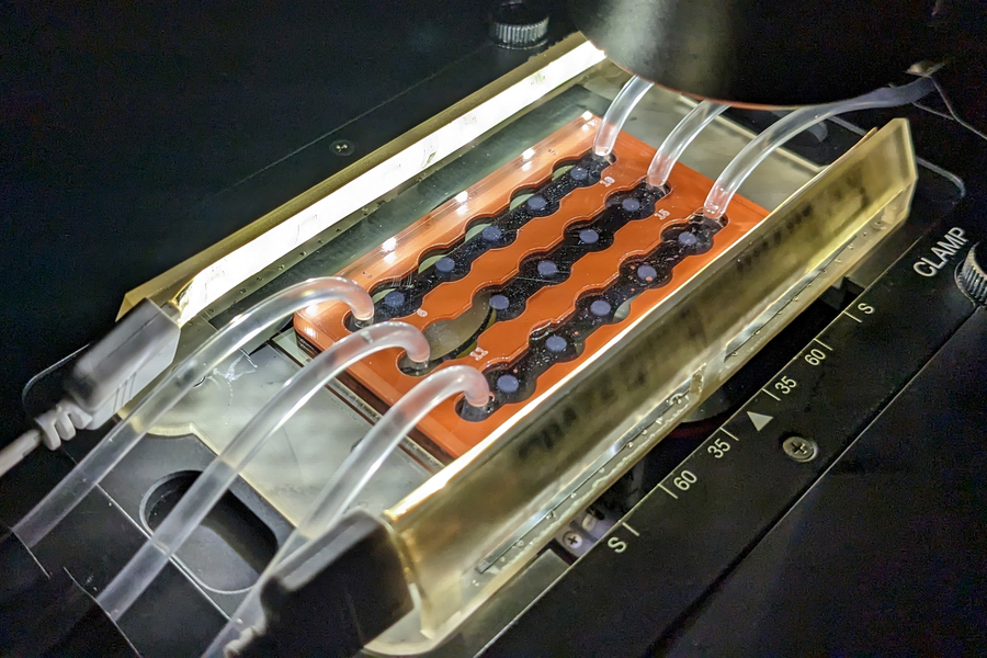 A device with 3 rows, with tubes attached on both ends.