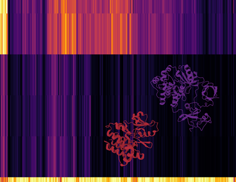 Two strands against colorful grid.