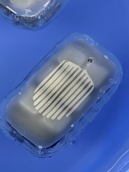 The device is rectangular and covered in soft clear gel and has pathways.