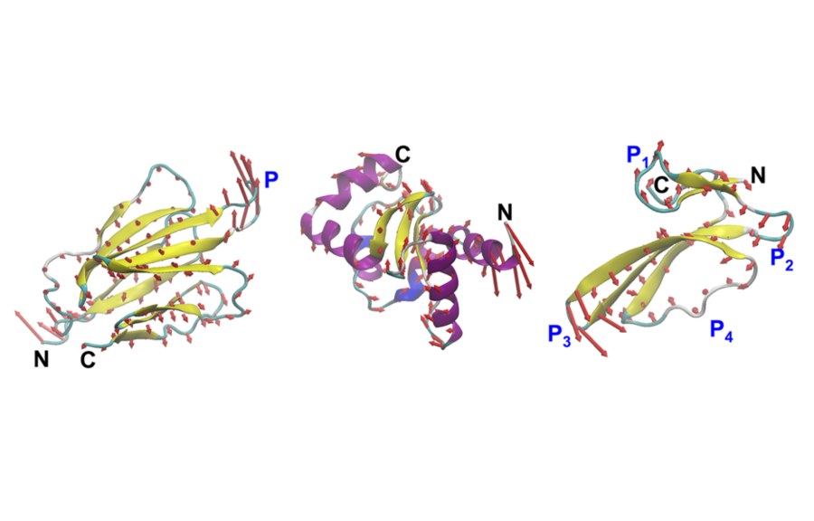 Three ribbon diagrams of proteins in a 3D format, each in different colors