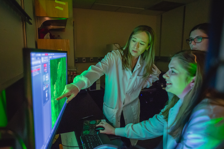 Professor Prescott, wearing a white lab coat, points to a microscope image on a screen. Two watching students are bathed in green light from the monitor