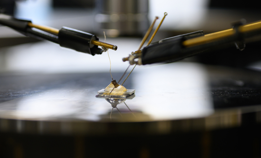 A tiny electronic device is being tested. A drop of salt solution touches the electrode while stick-like probes measure the response.