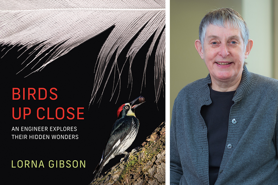 Cover of "Birds Up Close" next to a headshot of author Lorna Gibson