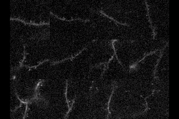 A four by 3 array of animated panels shows various forked and branching neural dendrites occassionally lighting up bright white, like flashes of lightning.