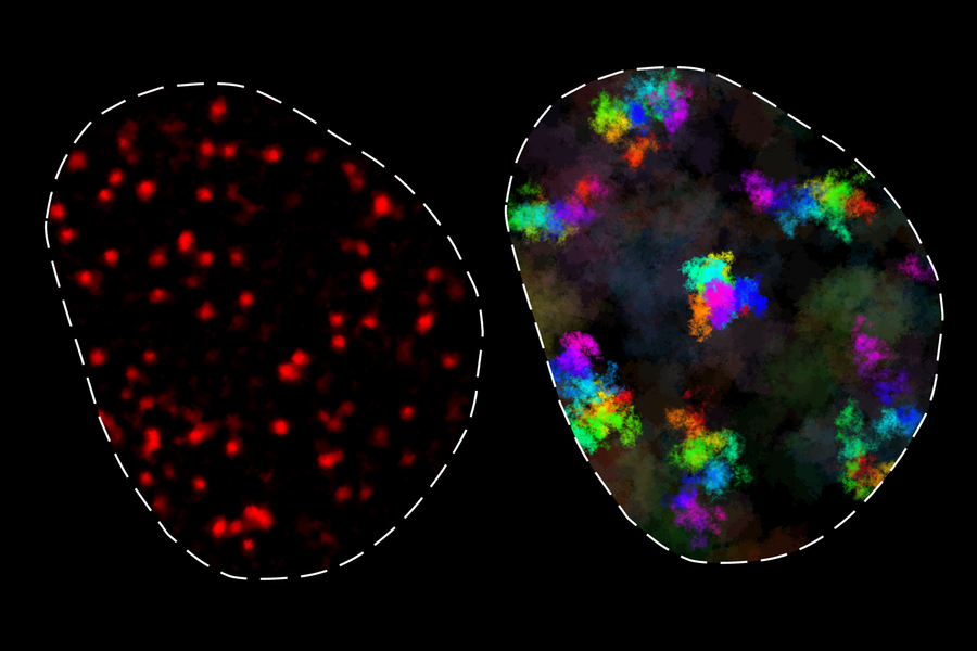 On left, a circle is filled with dozens of red dots representing histones. On right, colorful splotches represent the movement of the histones over time as they jiggle around.