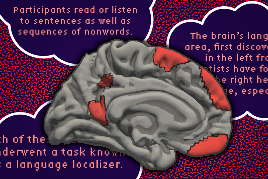 A brain has the medial cortex highlighted in red. The background has sentences from the article like, “participants read or listen to sentences as well as sequences of nonwords.”