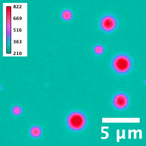 small red circles