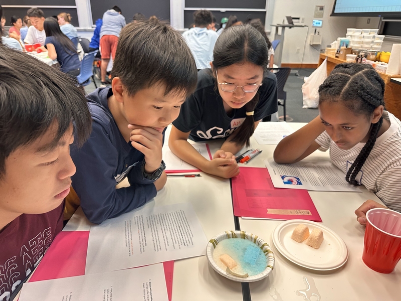 Four middle-schoolers work on a science experiment in an MIT classroom