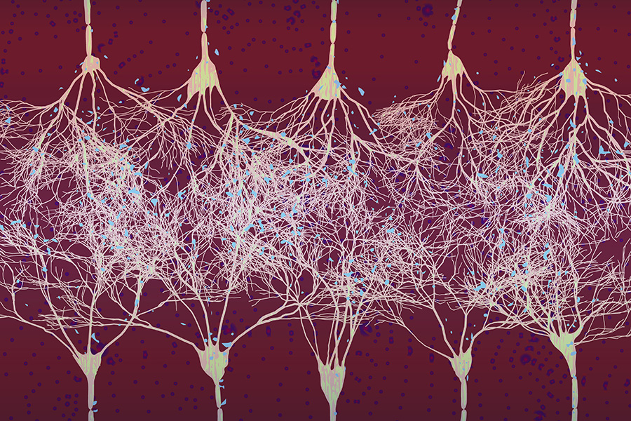 Five neurons at the bottom of the image interface with five neurons at the top through a dense network of synapses, with small colored particles sprinnkled throughout