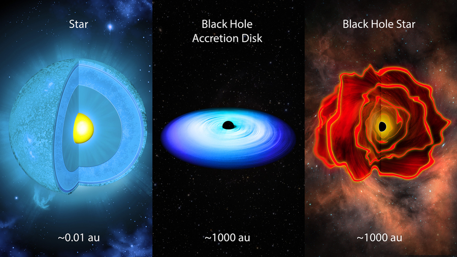 Three images show a “Star” as a cut-away sphere with a yellow core; a “Black Hole Accretion Disk” with black core and blue pancake spiral; and the “Black Hole Star,” an amorphous red cloud with a black center.