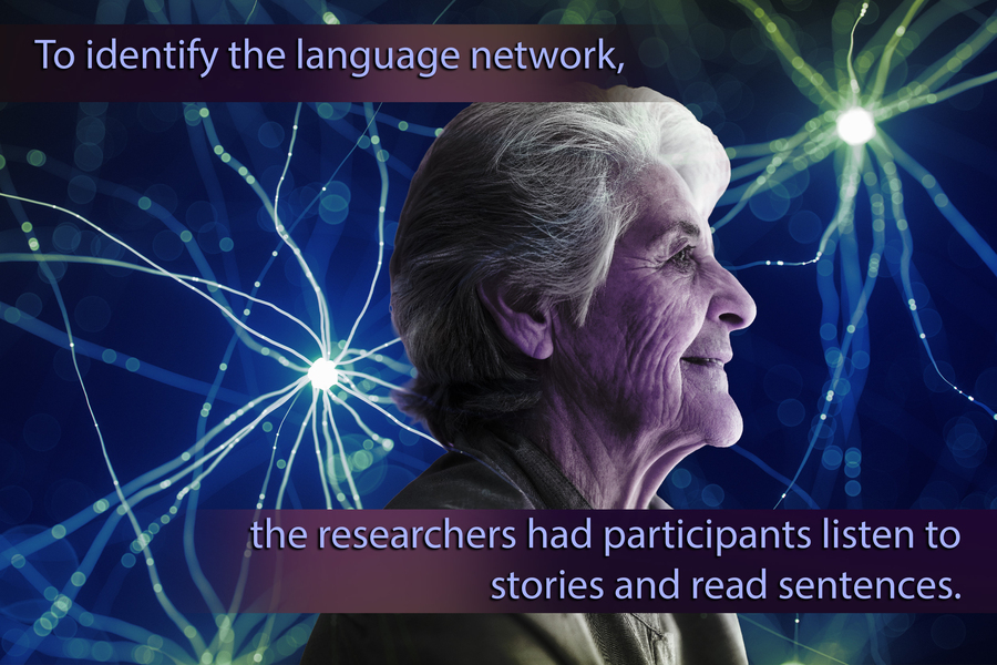 An elderly woman with a neuron background. Text says, “To identify the language network, the researchers had participants listen to stories and read sentences.”