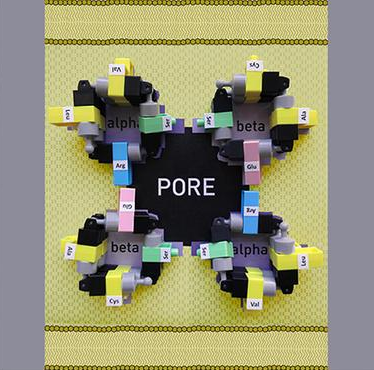 Closeup of small building blocks connected and arranged in four connected circles. The word "pore" appears in the center.