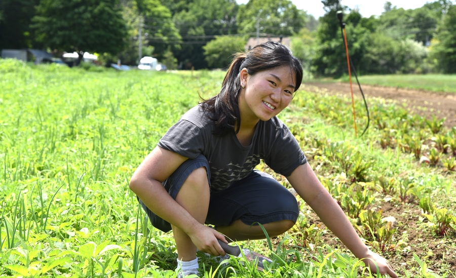 A woman with a trowel crouches in a field, weeding a vegetable garden