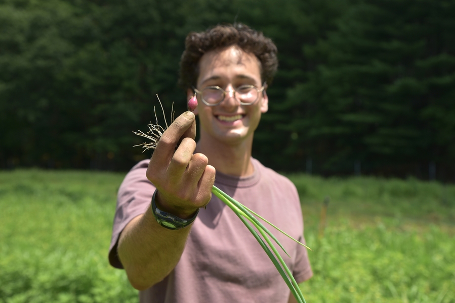 A man holds a newly harvested, tiny radish for the camera’s inspection