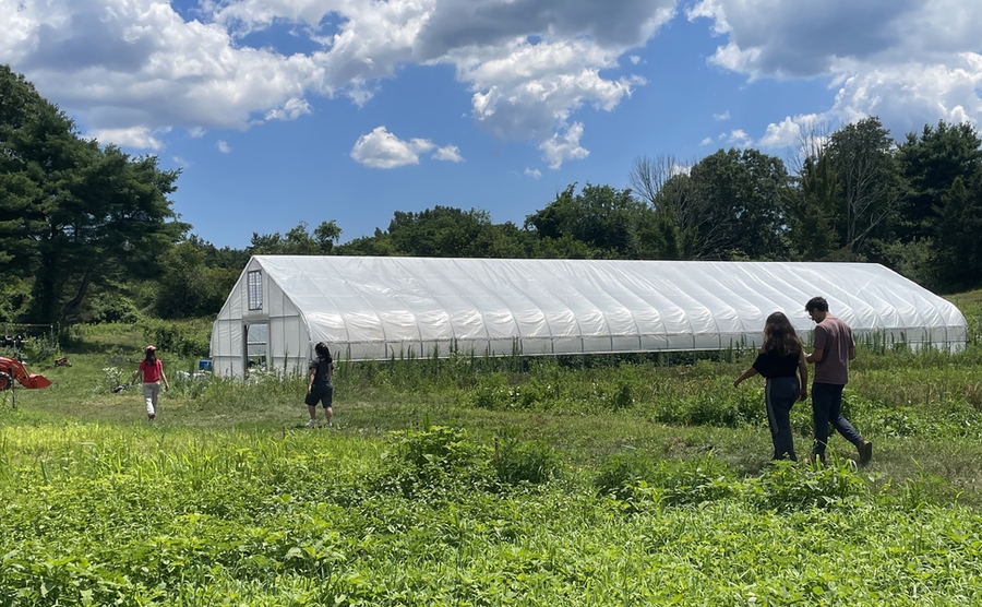 Four people, pictured from behind, walk across a field with a greenhouse nearby