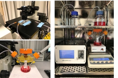 Picture of lab equipment used in red blood cell manufacturing