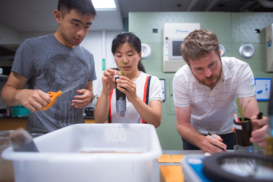 Photo of three people in a lab setting holding a small plant with lab instruments in view