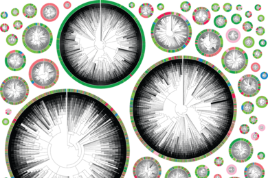 A collage of phylogenetic trees ringed with colorful circles. 
