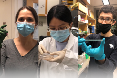 Photo of three masked graduate students working in lab