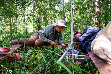 Photo of two researchers in a forest lying on wood slats rigged to be a foot or so above the ground.