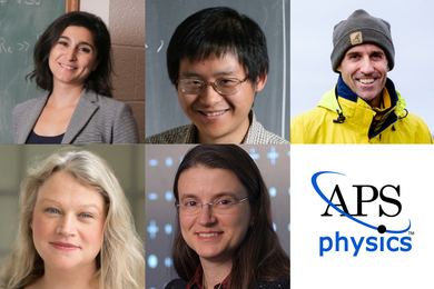 2021 APS fellows (top row, l-r) Lydia Bourouiba, Hong Liu, Thomas Peacock, (bottom row, l-r) Lindley Winslow, and Bilge Yildiz.