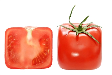 Photo of two tomatoes conformed into a cube shape. The one on the left is sliced and the right one is whole.