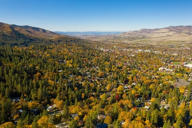 A photo of a forested landscape within Oregon's Jackson County Fire District 3