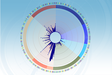 a circular multicolor graph with many lines of varying length radiating from its center