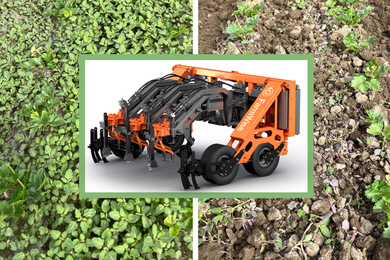 feature article about covid 19 pandemic Background shows 2 closeup photos of crops and weeds; the right side has been weeded. In foreground is an image of the new tractor-like robot.